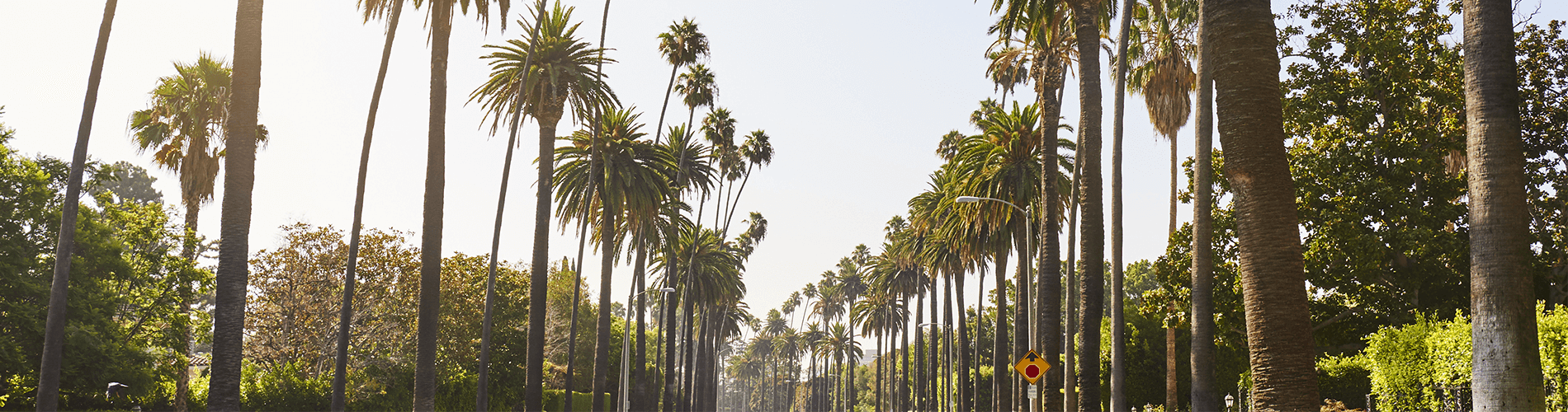 anaheim page header image