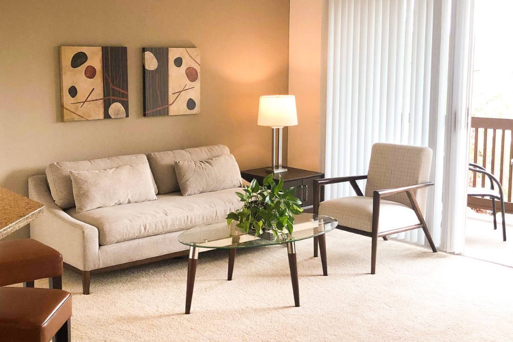 living room furnished apartmemnt